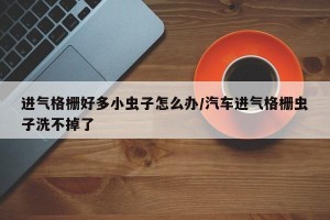 进气格栅好多小虫子怎么办/汽车进气格栅虫子洗不掉了