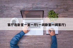 客厅连卧室一室一厅(一间卧室一间客厅)