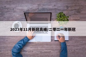 2023年11月新冠高峰/二零二一年新冠