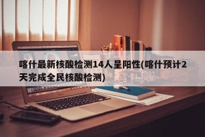 喀什最新核酸检测14人呈阳性(喀什预计2天完成全民核酸检测)