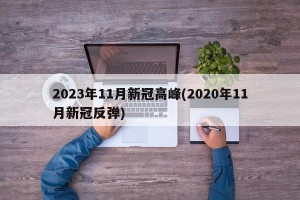 2023年11月新冠高峰(2020年11月新冠反弹)