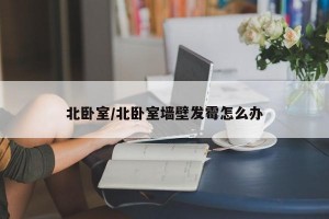 北卧室/北卧室墙壁发霉怎么办