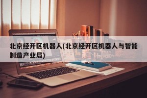 北京经开区机器人(北京经开区机器人与智能制造产业局)