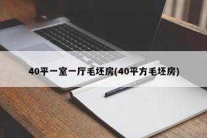 40平一室一厅毛坯房(40平方毛坯房)