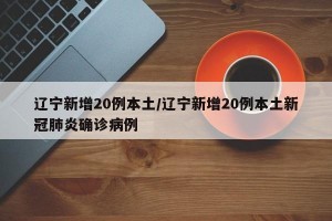 辽宁新增20例本土/辽宁新增20例本土新冠肺炎确诊病例