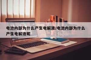 电池内部为什么产生电解液/电池内部为什么产生电解液呢