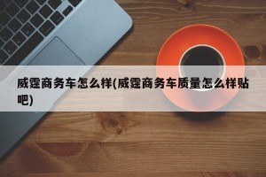 威霆商务车怎么样(威霆商务车质量怎么样贴吧)